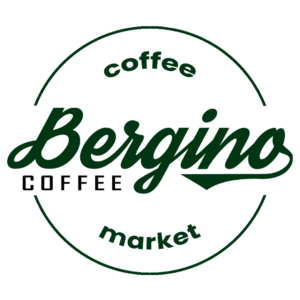 bergino curve logo